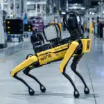 Roboterhund_web