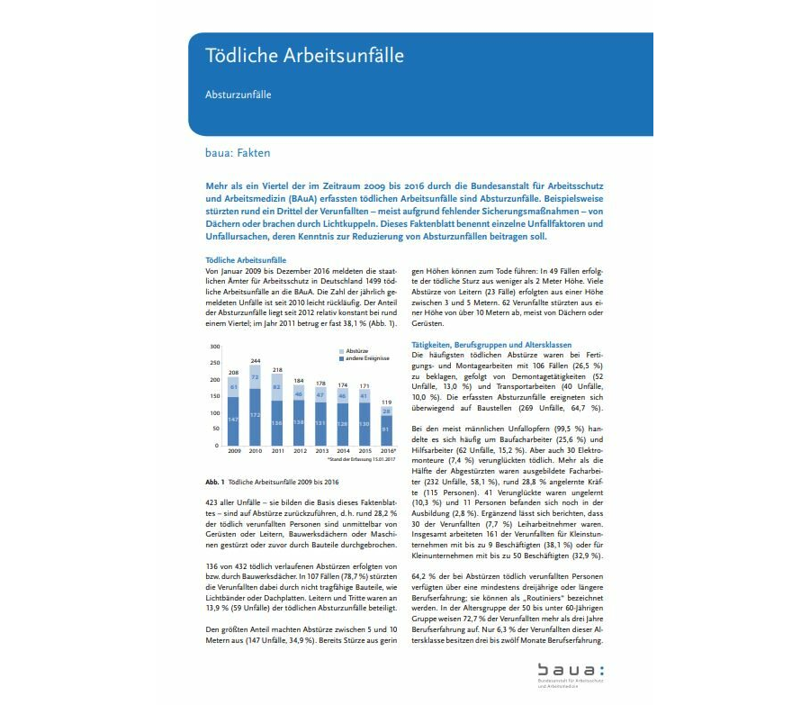 Faktenblatt „Tödliche Arbeitsunfälle – Absturzunfälle“ der Bundesanstalt für Arbeitsschutz und Arbeitsmedizin (BAuA)